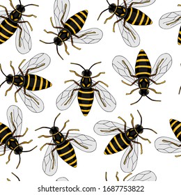 Seamless pattern with wasp on white background. Hand drawn insect in doodle style. Colorful print for textile, wrapping paper etc