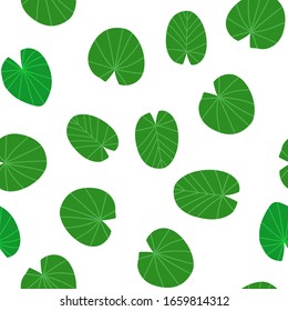 Seamless pattern with water Lily leaves on a white background. Vector illustration.