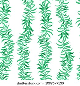 Seamless pattern with water plants on a white background.Vector illustration.