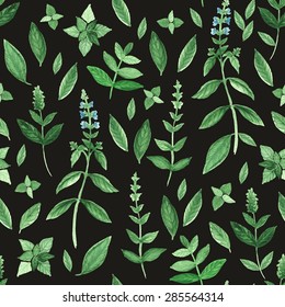 Seamless pattern with watercolor basil (trace)