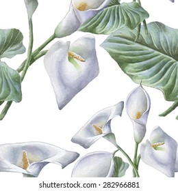 Seamless pattern with watercolor calla. Vector. Hand drawn.