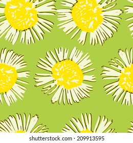 seamless pattern watercolor flower chamomile