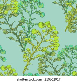 seamless pattern watercolor flower Helichrysum, yarrow 