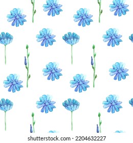 Seamless pattern with watercolor flowers chicory. For printing wrapping paper, wallpaper, packaging, fabric. Hand Drawn vector illustration.