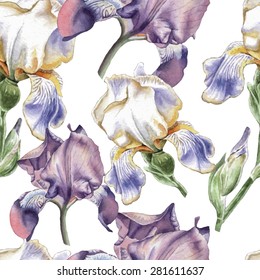 Seamless pattern with watercolor flowers. Iris. Vector. Hand drawn.