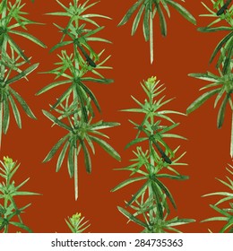 seamless pattern with watercolor hand drawn meadow grass on a terracotta background