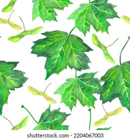Nahtloses Muster mit Ahornblättern und Samen in Aquarellfarben. Vorlage für Banner, Poster, Verpackung, Postkarte, Webdesign. Handgezeichnete Vektorgrafik.