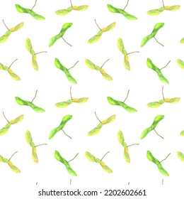 Patrón sin foco con semillas de arce aisladas en fondo blanco. Plantilla para banner, afiche, embalaje, postal, diseño web. Ilustración vectorial dibujada a mano.