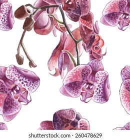Seamless pattern with watercolor orchid. Hand drawn.