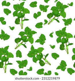 A seamless pattern of watercress isolated on white background. vector illustration. vegetable wrapping paper.