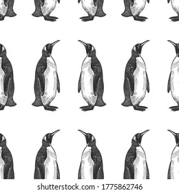 Seamless pattern. Waterfowl birds king penguins. Vector illustration. Black ink on white background. Wild life. Natural motive of nature. For paper, wallpaper, textiles, ornamental coverings. 