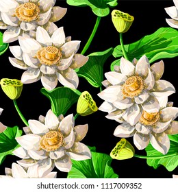 Seamless pattern  with waterlily hand draw . Vector illustration.