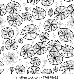Seamless pattern with water-lily, hand draw vector illustration