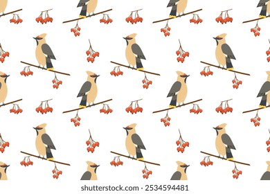 Seamless pattern with Waxwing birds and branches with berries rowan. Winter feather bird. Cute character song birds. Vector background with small forest birds. Flat style.