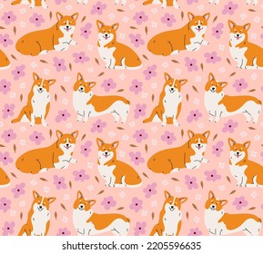 Seamless pattern of welsh corgi dog in different poses with flowers. Standing, sitting, lying down. Hand-drawn dog in contemporary flat style, and line art. Cartoon animal, pet. 