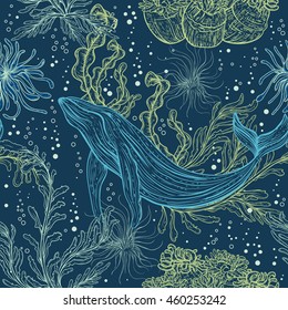 Seamless pattern with whale, marine plants and seaweeds.Vintage hand drawn marine life. Vector illustration