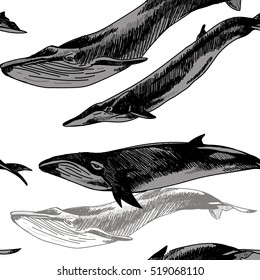 Seamless pattern with whales and dolphins. Drawing by hand in vintage style.