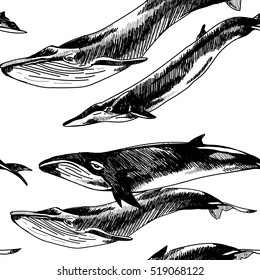 Seamless pattern with whales and dolphins. Drawing by hand in vintage style.