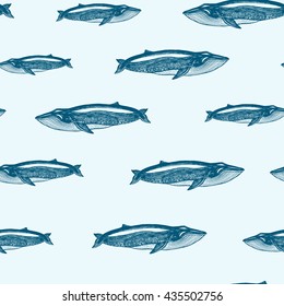 Seamless pattern with whales. Hand drawing.