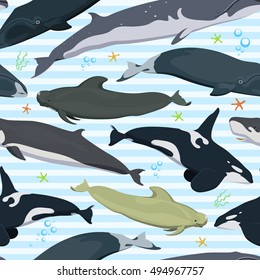 seamless pattern with whales, modern texture with marine mammals,