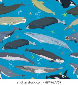 patrón sin fisuras con ballenas, textura moderna con mamíferos marinos,
