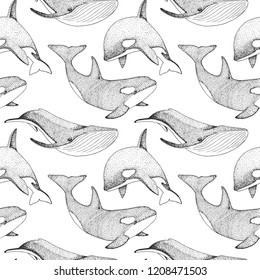 Seamless pattern with whales, orcs and other fishes. Vector