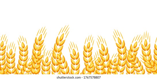Seamless pattern with wheat. Agricultural image natural golden ears of barley or rye.