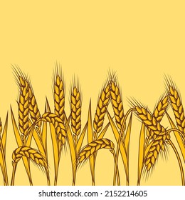 Seamless pattern with wheat. Agricultural image with natural ears of barley or rye.