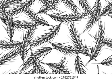 Seamless pattern of wheat ears, vector