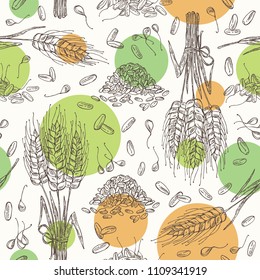 Seamless pattern with wheat and wheat grain. Vector hand drawn illustration