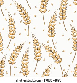 Patrón sin foco con plantas de trigo sobre ilustración vectorial de fondo blanco.