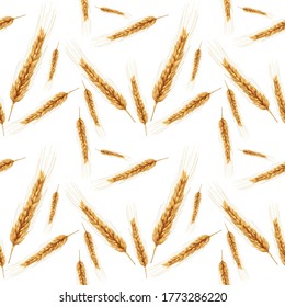 Patrón sin foco con trigo. Espigas de trigo dorado. Papel de escritorio, impresión, diseño textil, embalaje, papel. Ilustración vectorial.