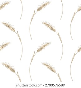 Padrão contínuo de trigo. Ilustração à mão estilo tinta vetor. Para design de embalagem, cartões, capa, impressões, etiquetas de produto e tecido.
