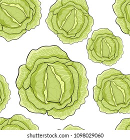 seamless pattern white cabbage ripe vegetable  vector illustration