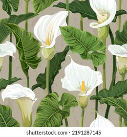 Seamless pattern with white calla lily plants