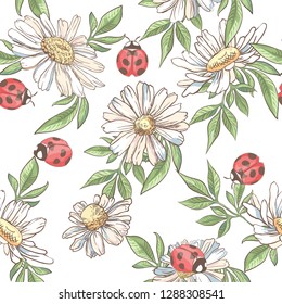 Seamless pattern with white camomile  and ladybird on white background