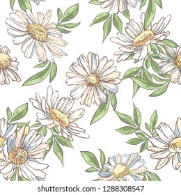 Seamless pattern with white camomile on white background