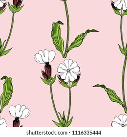 Seamless pattern with white campion flowers on pink background stock Vector illustration.