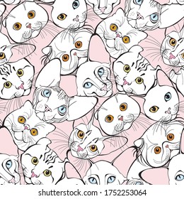  Seamless pattern with white cats of different breeds on  pink . Hand-drawn vector illustration. Animal art background.