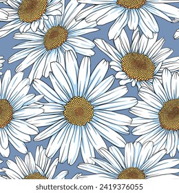 Seamless pattern with white chamomile on blue background.