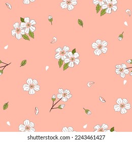 Seamless pattern with white cherry flowers on a pink background. Vector graphics.