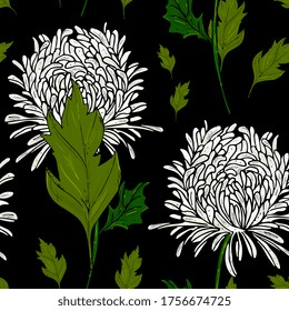 seamless pattern with white chrysanthemums. Floral background with bright autumn flowers. Hand drawing. Design for packaging, fabric, wrappers.