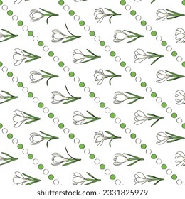 Seamless pattern with white crocus flowers, saffron. Vector background.