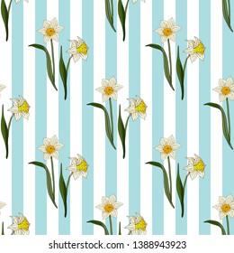 Seamless pattern with white daffodils. Endless texture with flowers on light blue and white striped background