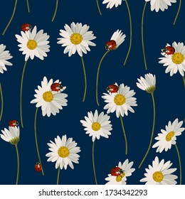 Seamless pattern with white daisies and ladybugs on blue background. Vector illustration.