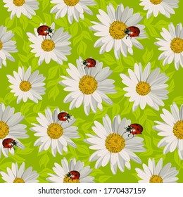 Patrón sin foco con margaritas y ladybugs blancos sobre fondo verde. Ilustración vectorial.