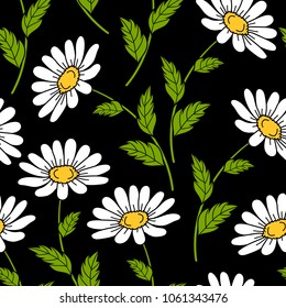Seamless pattern with white daisies on black background. Vector illustration.