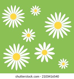 seamless pattern of white daisies on a green background. Vector illustration