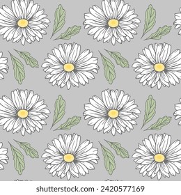 Seamless pattern, white daisies on a gray background, background, print, textile, wallpaper, vector