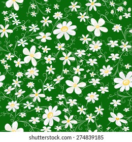 seamless pattern with white daisy on green background, vector illustration